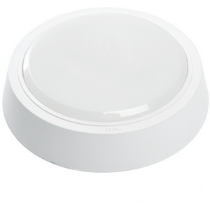 Изображение товара Настенно-потолочный светильник светодиодный Feron AL3020 41767