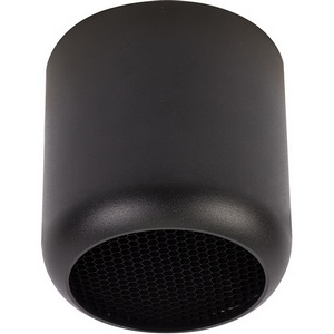 Изображение товара Светильник потолочный Feron HL365 Barrel ECHO 48400 чёрный, с антибликовой сеточкой