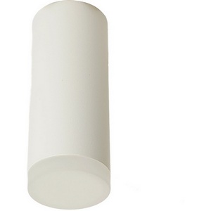 Изображение товара Светильник потолочный накладной Feron ML102 51389