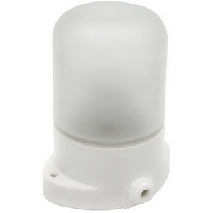 Изображение товара Настенно-потолочный светильник Feron Светильник НББ 01-60-101 УХЛ1 53164