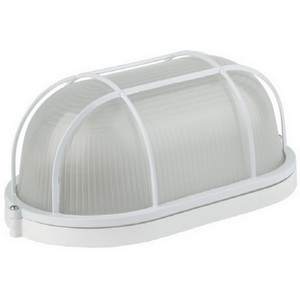 Изображение товара Настенно-потолочный светильник Feron НБП 04-60-002 53172