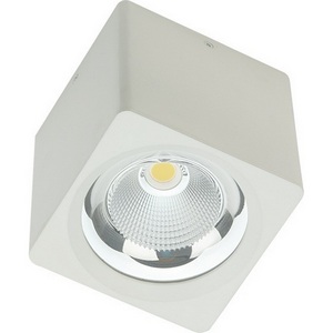 Изображение товара Точечный накладной светодиодный светильник CH-SD220-1 Fiberli Ch-Sd 12120101