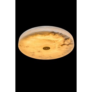 Изображение товара Потолочный светодиодный светильник круглый Fluorite Luar FL1110-5C