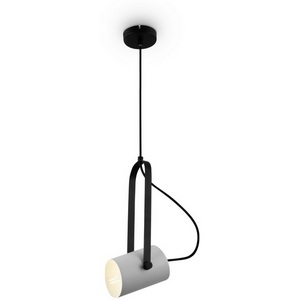 Изображение товара Подвесной светильник Freya Elori FR4004PL-01WB