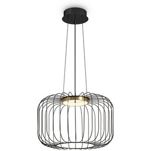 Изображение товара Подвесной светодиодный светильник в форме клетки Freya Citrus FR5398PL-L8B