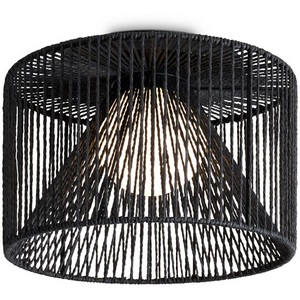 Изображение товара Потолочный светильник с черным плафоном Freya Cottage FR5405CL-01B1 в форме шара