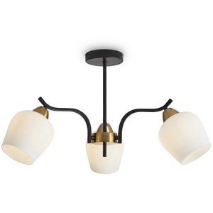 Изображение товара Потолочная люстра на штанге Freya Shadow FR5422PL-03BZ