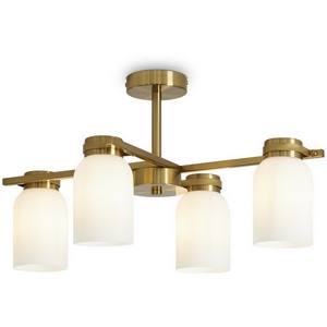 Изображение товара Потолочная люстра на штанге Freya Kamelia FR5446PL-04BS1