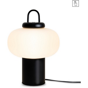 Изображение товара Настольная лампа led стеклянный плафон Freya Take FR6175TL-L10B