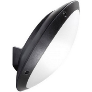 Изображение товара Настенный светильник уличный IP66 наклонный Fumagalli REMI/LUCIA 1R3.602.000.AYE27