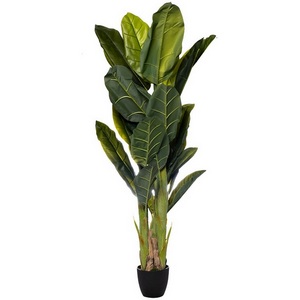Изображение товара Банановый куст в горшке h180 см Garda Decor 29BJ-803-30