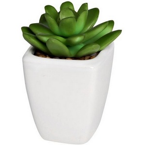 Изображение товара Суккулент в горшочке 10 см (12) Garda Decor 8J-1735124