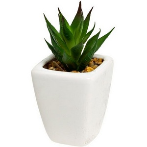 Изображение товара Суккулент в горшочке 11 см (12) Garda Decor 8J-1735380