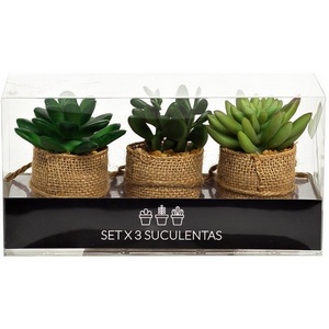 Изображение товара Набор суккулентов 3 шт. 10-11 см в упаковке (8) Garda Decor 8J-18K0040