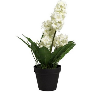 Изображение товара Гиацинт в горшочке белый 40 см (6) Garda Decor 8J-K0013/2