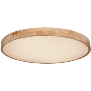 Изображение товара Потолочный светильник круглый светодиодный с пультом Globo Rainer 41745-60