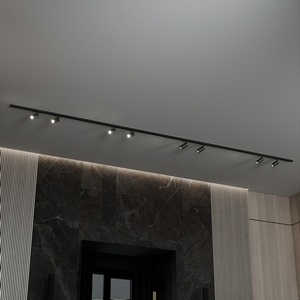 Изображение товара Трековая система в сборе однофазная накладная 220V 80W Hesby Lighting Skylite HSBL_kompl_S003_NI4B4K