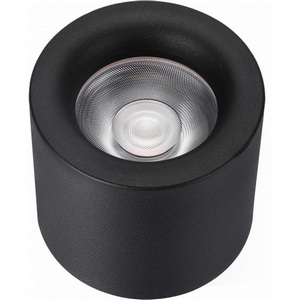 Изображение товара Точечный накладной светильник светодиодный iLedex Metrica 113-12W-D100-4000K-24DG-BK