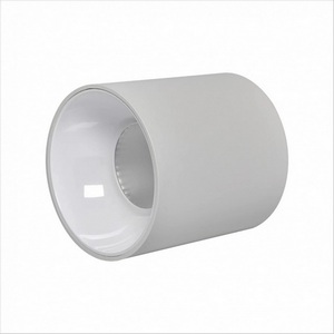 Изображение товара Точечный светильник светодиодный накладной iLedex Metrica 116-12W-D75-4K-36DG-WH