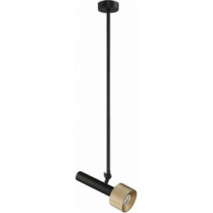 Изображение товара Подвесной светильник iLedex Delta 2361-1 BK+BR