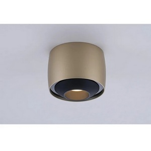 Изображение товара Потолочный светильник iLedex Vision 300 CHM CHAMPAGNE