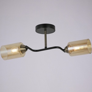 Изображение товара Потолочная люстра на штанге ILLUMICO IL8148-2COU-79 BK BR Bice