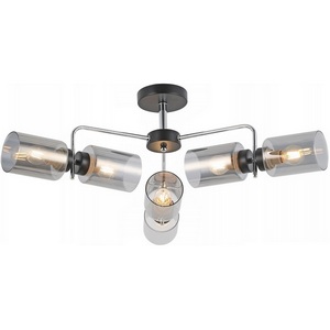 Изображение товара Потолочная люстра на штанге ILLUMICO IL8249-6COU-79 BK CR