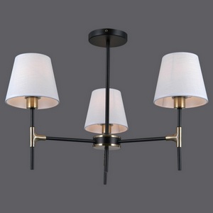 Изображение товара Потолочная люстра на штанге ILLUMICO IL0185-3CSQ-24 BK AB CASTOR