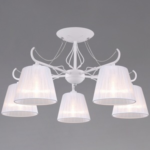 Изображение товара Потолочная люстра на штанге ILLUMICO IL9482-5CSQ-25WT ELITE