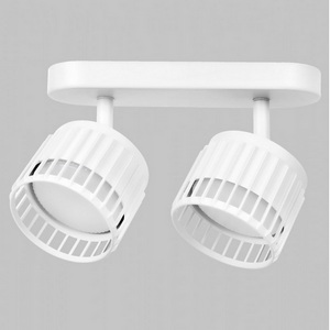 Изображение товара Настенно-потолочный спот Imex Grido IL.0005.2301-2-WH