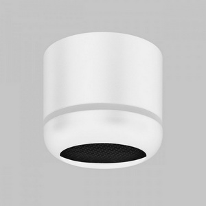 Изображение товара Потолочный светильник Imex Simple IL.0005.3100-WH