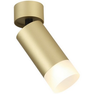 Изображение товара Спот Imex Leon IL.0005.4801 MG