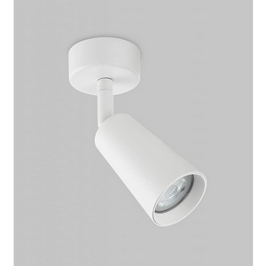 Изображение товара Настенно-потолочный спот Imex Dals Gu10 IL.0005.4901-WH
