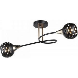 Изображение товара Потолочная люстра на штанге Imex MD.19074-2-S-BK+FGD