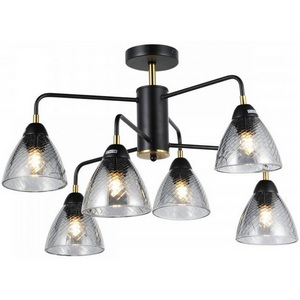 Изображение товара Потолочная люстра Imex MD.74318-6-S-BK+BR