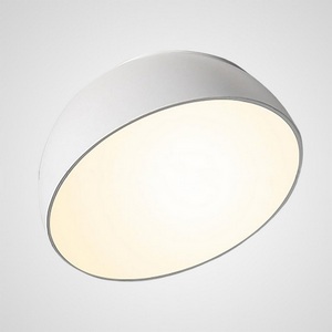 Изображение товара Потолочный светильник LED SELDEN D20 White ImperiumLoft Selden01 (208111-23)