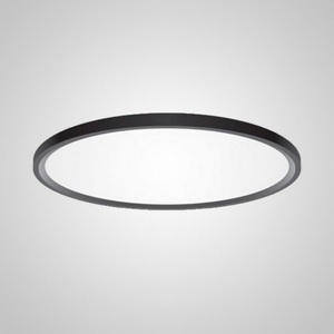 Изображение товара Потолочный светодиодный светильник круглый Extraslim D80 Black Imperiumloft Extraslim001 (212745-26)