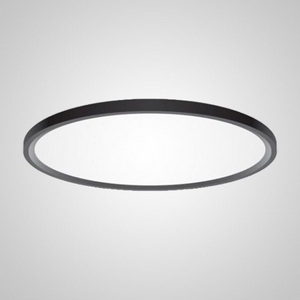 Изображение товара Потолочный светодиодный светильник круглый Extraslim D100 Black Imperiumloft Extraslim001 (212746-26)