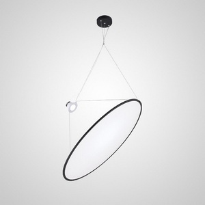 Изображение товара Подвесной светильник LED Zoi D50 Silver Imperiumloft Im_G-1980 (229053-60)