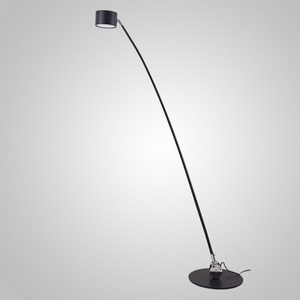 Изображение товара Изогнутый торшер LED Aidan H220 By ImperiumLoft Aidan01 232684-23