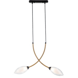 Изображение товара Подвесной светильник (13001/2P Black) Indigo Fiore V000140