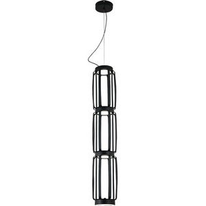 Изображение товара Подвесной светильник с пультом управления LED (14027/4P Black) Indigo Capsula V000159L