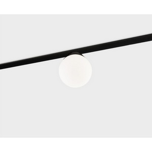 Изображение товара Трековый светильник светодиодный магнитный 3W 48V Italline IT012-5025 black 3000K