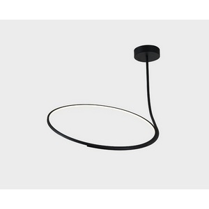 Изображение товара Потолочная светодиодная люстра на штанге Italline IT013-6025 black 3000K