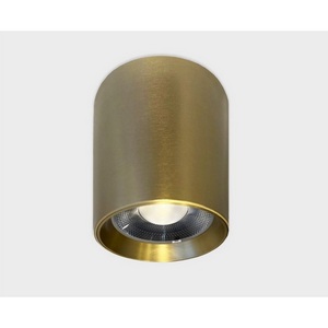 Изображение товара Потолочный светильник влагозащищенный Italline IT014-0207 gold