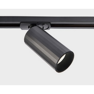 Изображение товара Трековый светильник однофазный 220V Italline IT08-8010 black