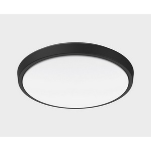 Изображение товара Потолочный светильник уличный светодиодный Italline IT6011 Изображение товара Потолочный светильник уличный светодиодный Italline IT6011