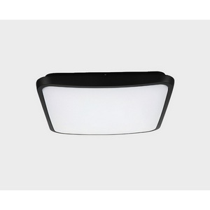 Изображение товара Потолочный светильник уличный светодиодный Italline IT6012 Изображение товара Потолочный светильник уличный светодиодный Italline IT6012