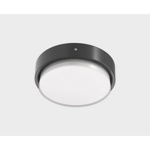 Изображение товара Потолочный светильник уличный светодиодный Italline IT6026