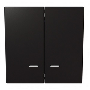 Изображение товара Выключатель двухклавишный с подсветкой (никель) Jasmart FD FD3023NNI